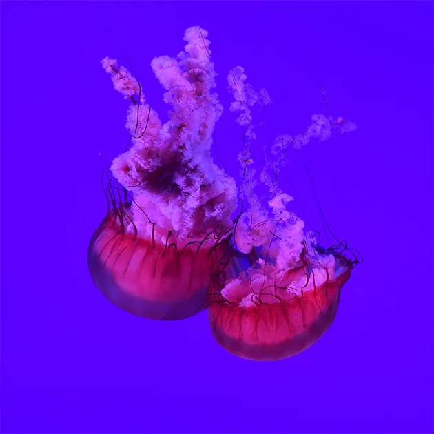 满贯体育足球